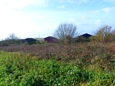 Self-Build Houses at Sea-Saw Way, Whitehawk (December 2013, seen from Wilson Avenue)