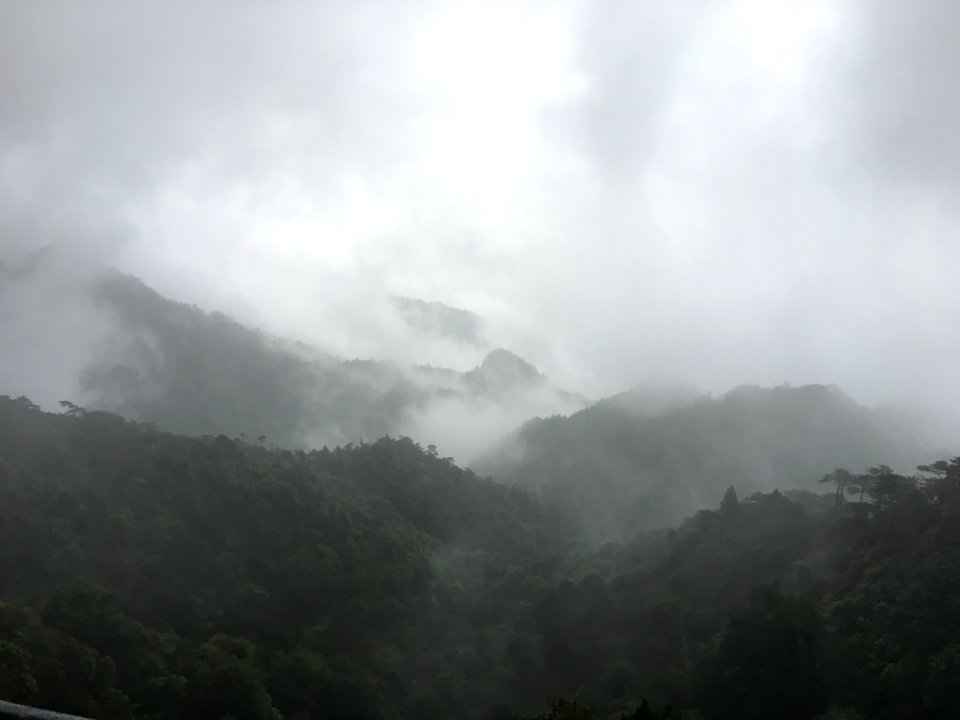 Sanqing Mountain is surrounded by clouds and mists2