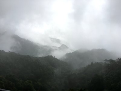 Sanqing Mountain is surrounded by clouds and mists2