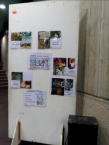 Semaine de la solidarite internationale 2013 à Morsang sur Orge - 17