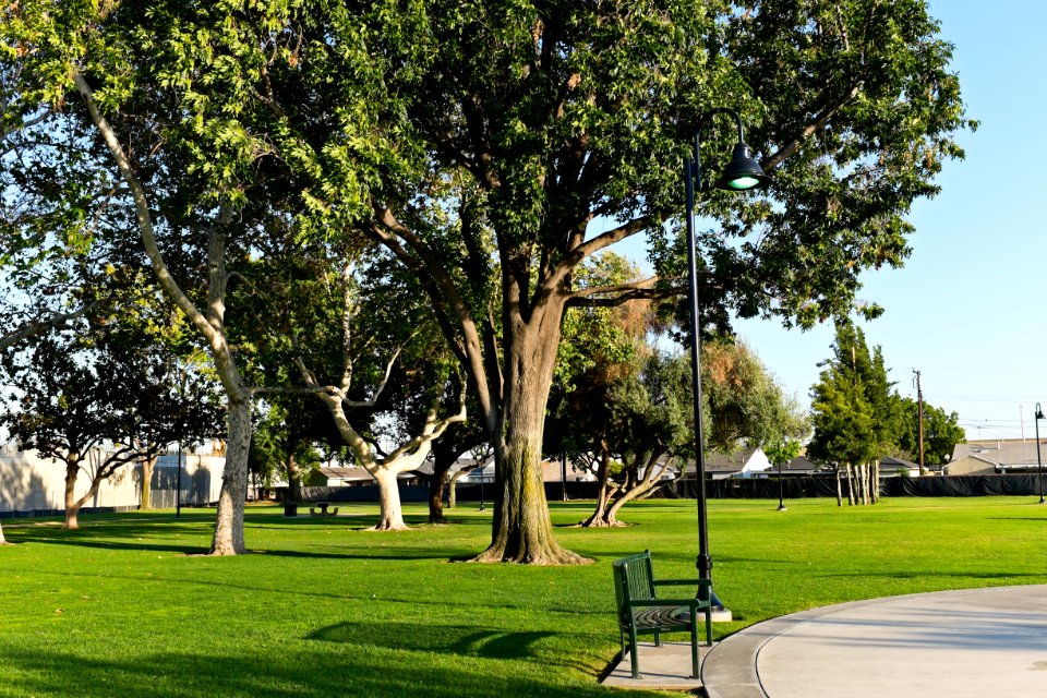 Sara Mendez Park Trees and Picnic Tables, Norwalk, California