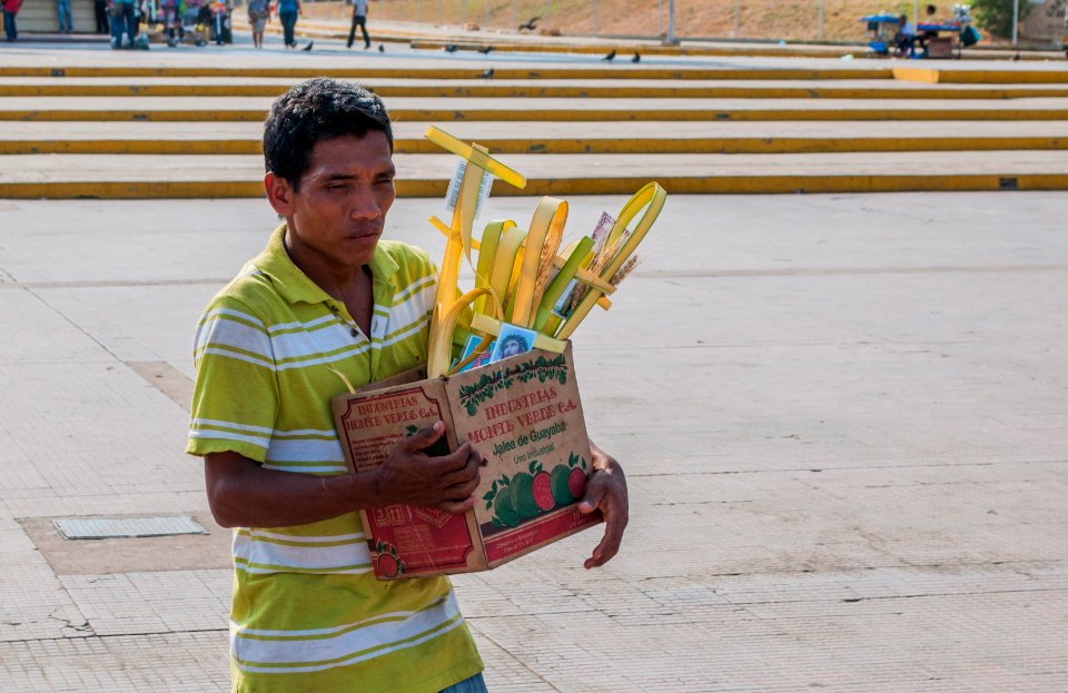 Seller sacred palm