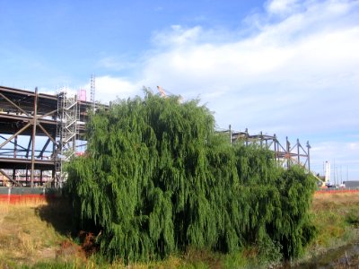 Santa Clara Stadium 1769 05