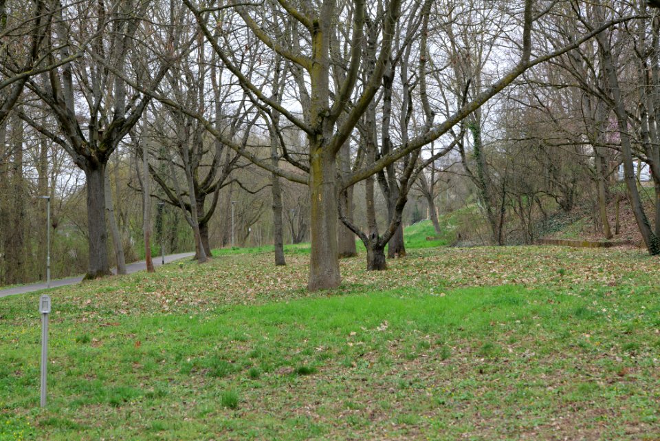 Seewiese Friedberg 2021-04-02 04