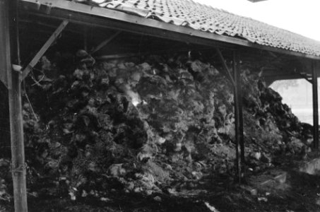 Semarang. Kostbare rijstvoorraden werden door de T.N.I. vernietigd, terwijl de b, Bestanddeelnr 1865