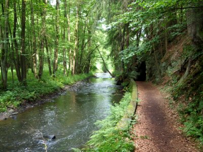 Selketal-Stieg (31)