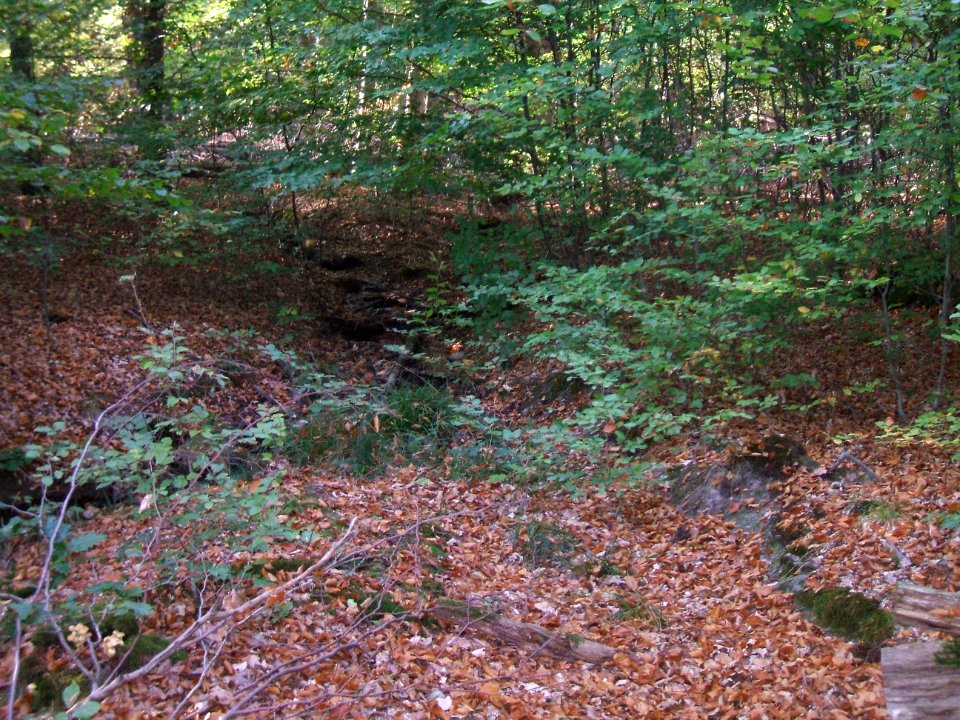 Seebach Leihgraben Flutmulde nahe Engelsborn