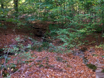 Seebach Leihgraben Flutmulde nahe Engelsborn