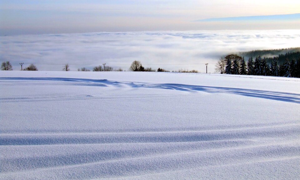 Frost frozen tracks photo