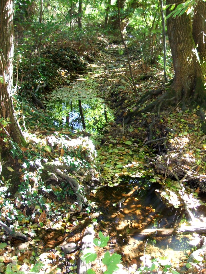 Seebach Leihgraben hinter Wetterauer Werkstätten
