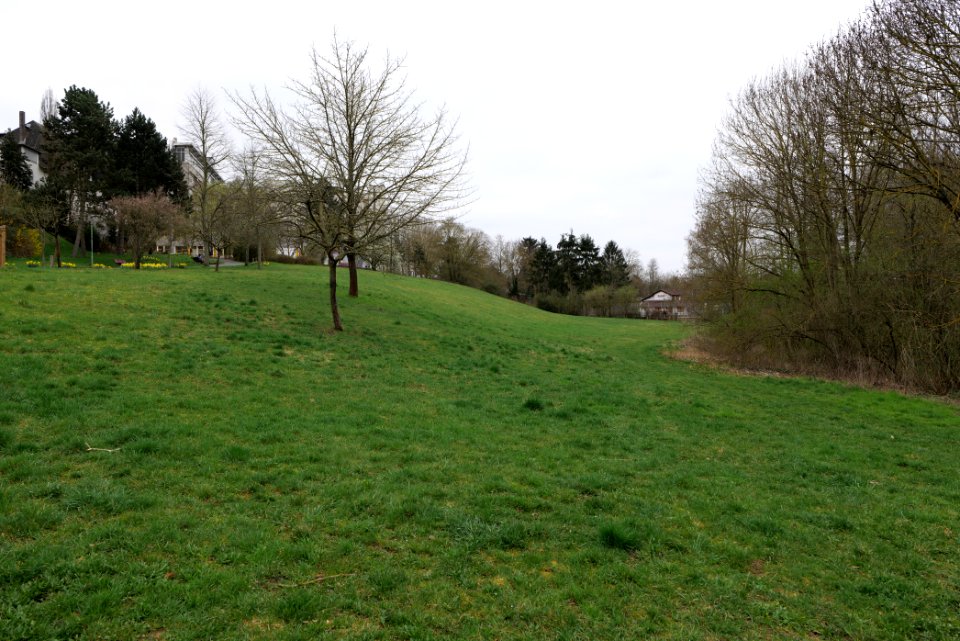 Seewiese Friedberg 2021-04-02 05