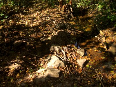 Seebach Leihgraben nördlicher Ast Einmündung A südlicher Ast