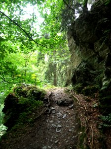 Selketal-Stieg (19)