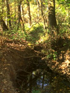 Seebach Leihgraben nördlicher Ast Einmündung A südlicher Ast Kolk
