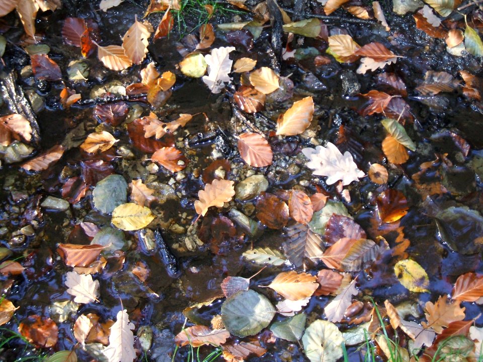 Seebach Leihgraben Engelsborn Detail Bett
