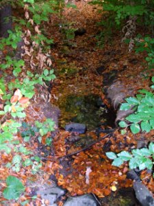 Seebach Leihgraben neben Usinger Straße 3