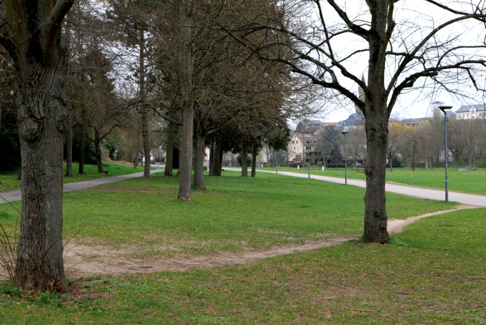 Seewiese Friedberg 2021-04-02 08