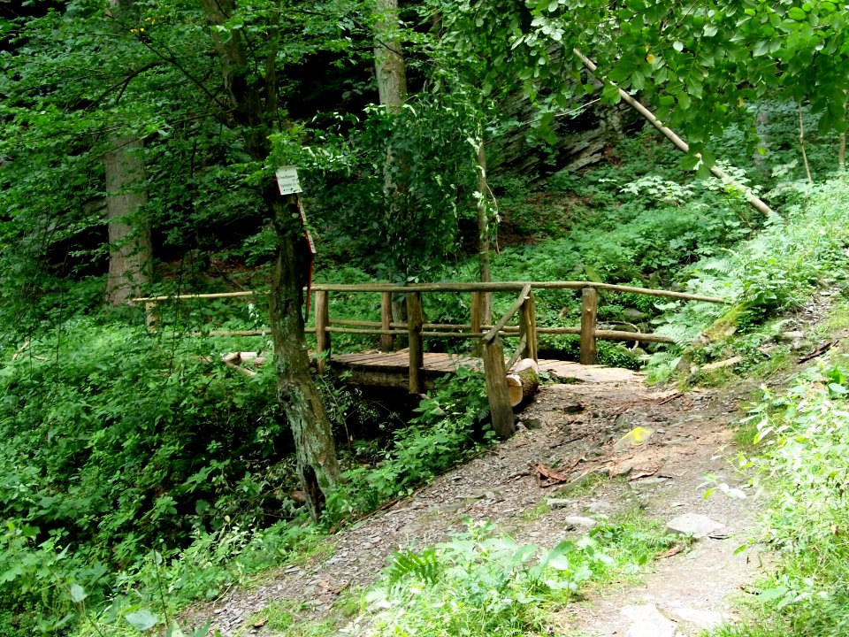 Selketal-Stieg (15)