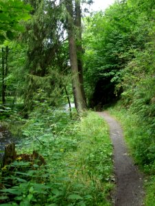 Selketal-Stieg (26)