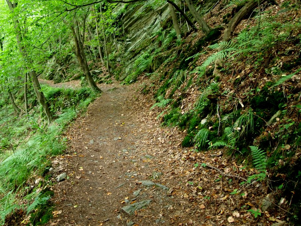 Selketal-Stieg (12)