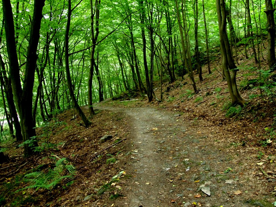 Selketal-Stieg (11)