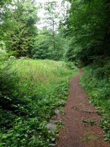 Selketal-Stieg (28)