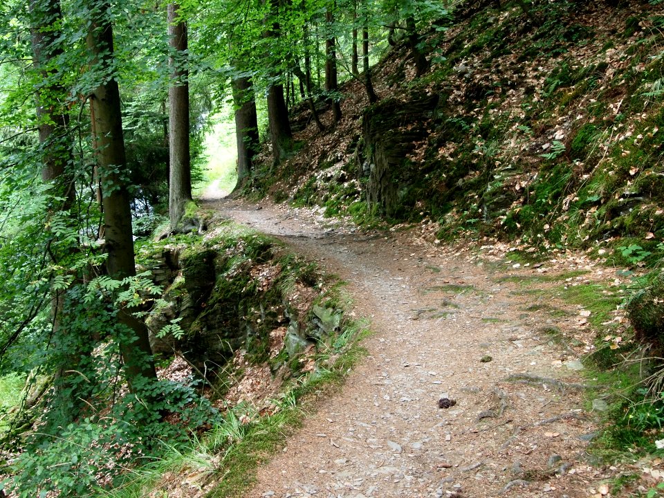 Selketal-Stieg (22)