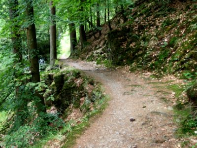 Selketal-Stieg (22)