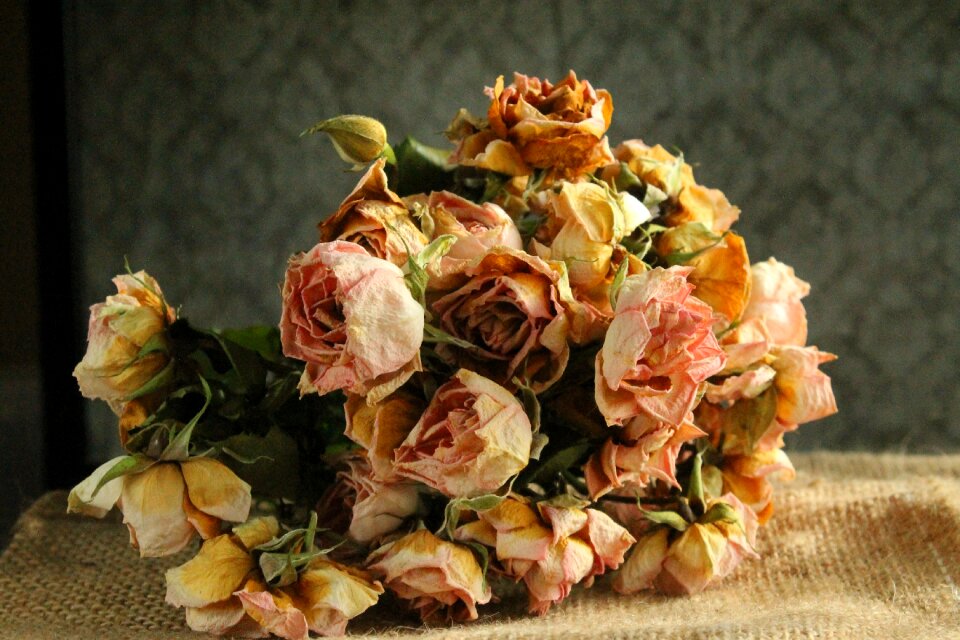 Bouquet dry fade