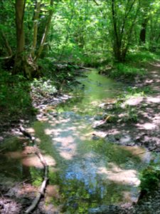 Seitenbach Lech