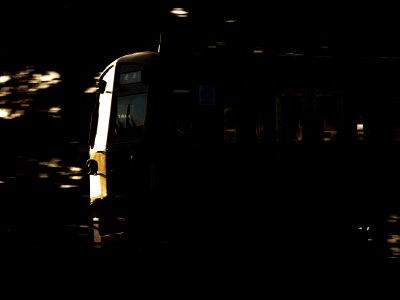 Seibu 101 Series 239F(as the sun rose)