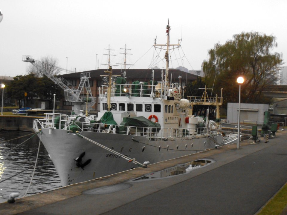 Seiyo-Maru the training vessel of Tokyo University of Marine Science and Technology
