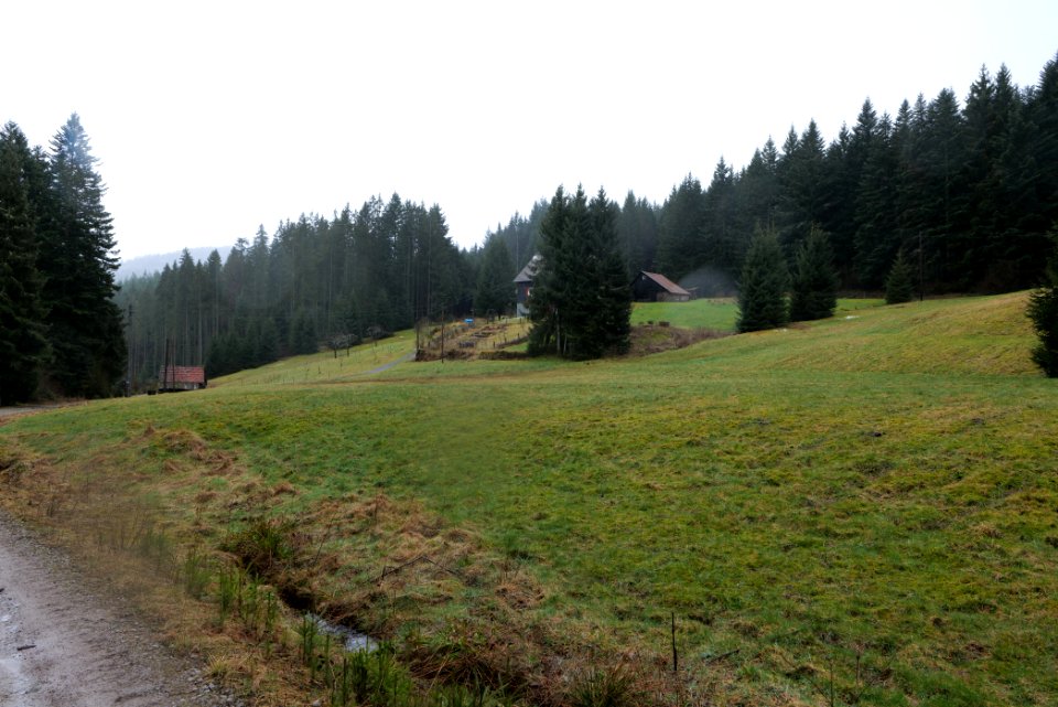 Seebachhof 2020-03-10 01