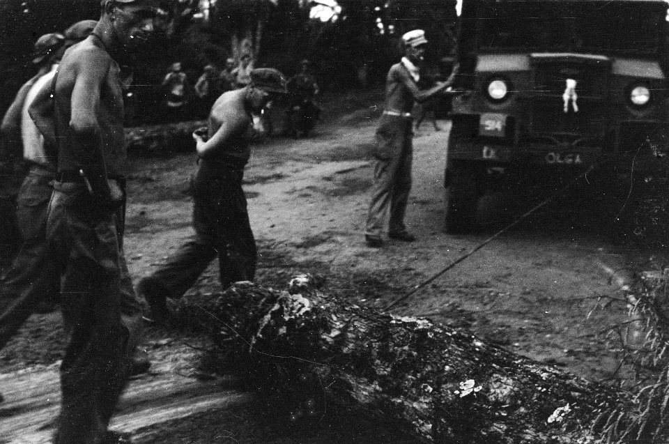 Semarang Bij Kaliewoengoe ligt een boom over de weg, Bestanddeelnr 1666