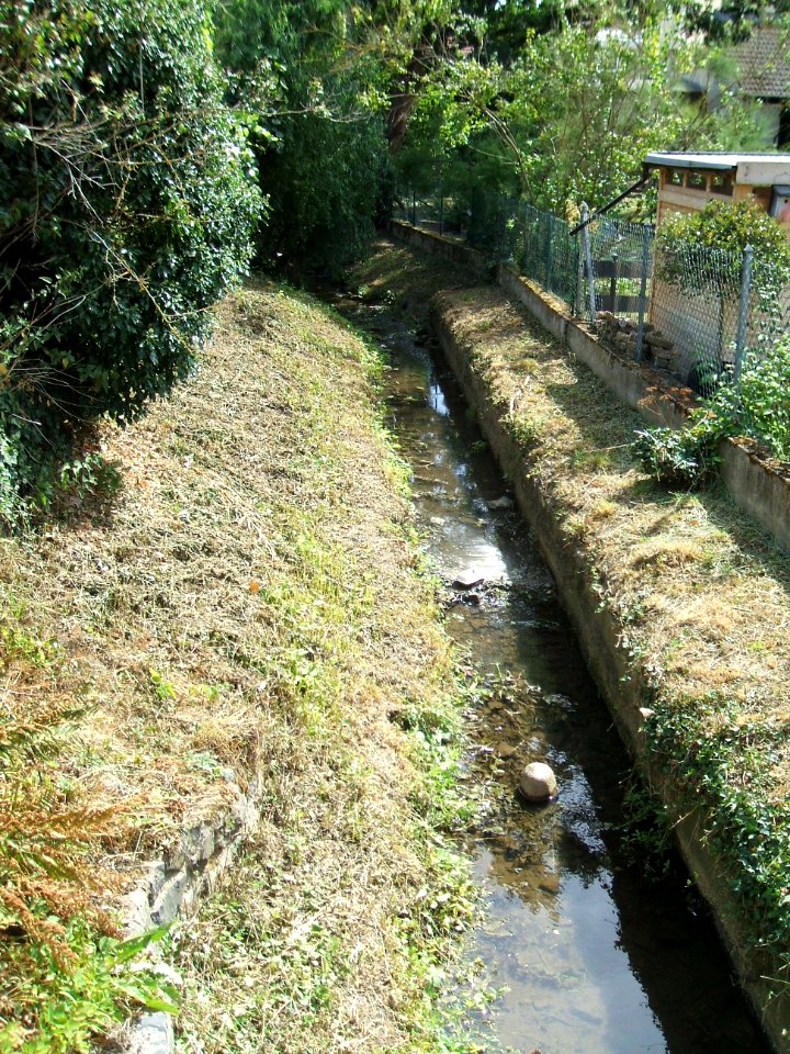 Seebach oberhalb Brunnenweg