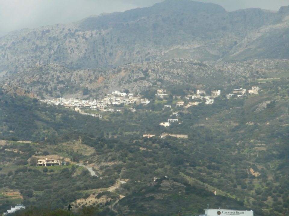 Sellia from Plakias 2220097