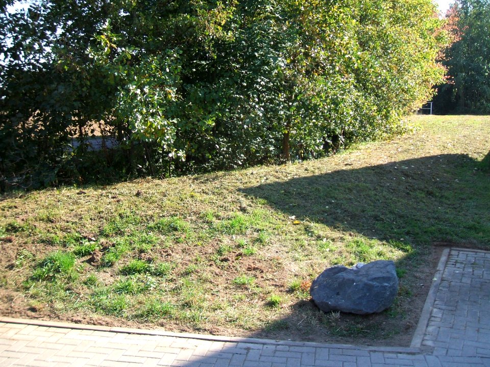 Seebach Zulauf Brücke Allmend hinter Damm
