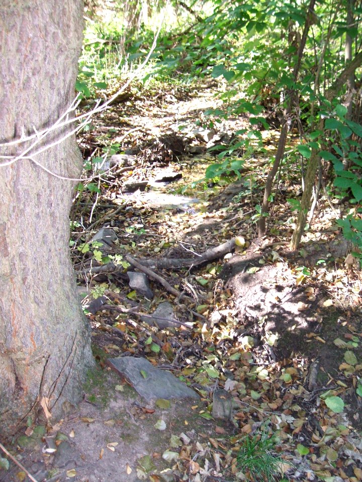 Seebach Leihgraben Wetterauer Werkstätten Zulauf oberer Teich