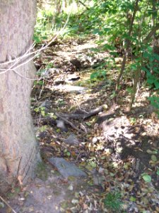 Seebach Leihgraben Wetterauer Werkstätten Zulauf oberer Teich