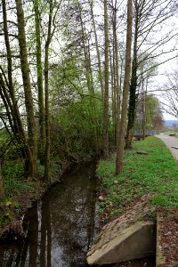 Seebach Taunus 2021-04-02 08