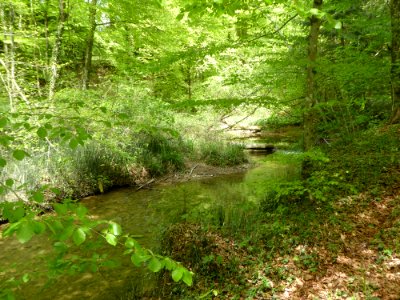Seebach TG
