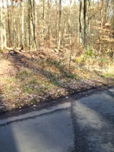Seebach Leihgraben Usinger Straßengraben oben Querung gen Ockschd