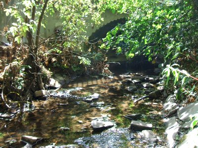 Seebach nach Unterführung K 13