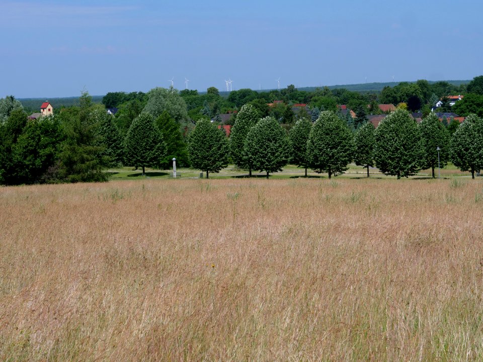 Sellessen from observation tower 2019-06-06 09