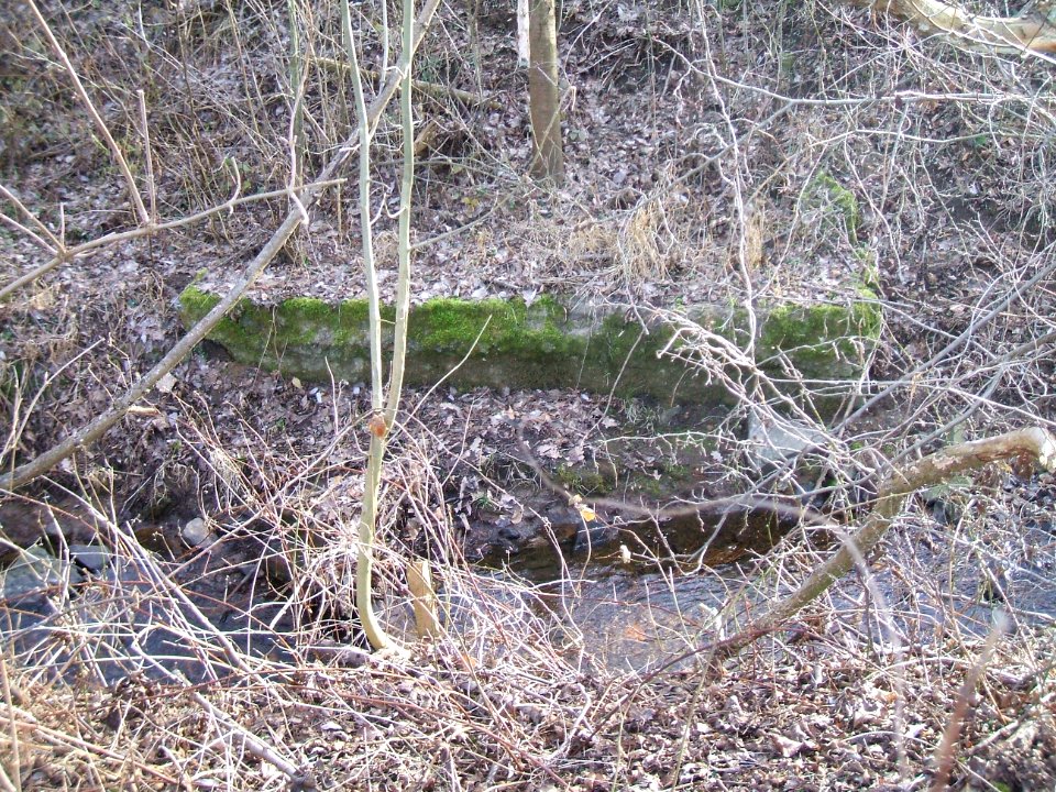 Seebach Leihgraben Mauerrest Hof Obermühle