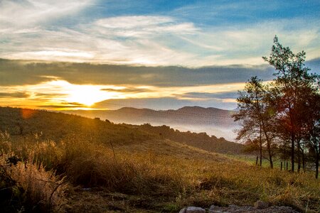 Dawn mountain branches