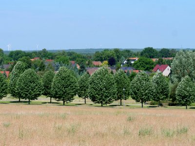 Sellessen from observation tower 2019-06-06 08