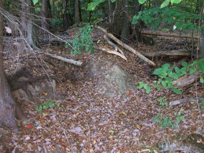 Seebach Leihgraben Flutmulde Mündungen Kessel