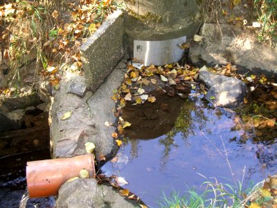 Seebach Leihgraben Becken unter Auslass A 5