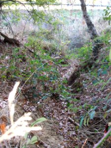 Seebach Leihgraben Ablauf Kessel